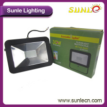 Cheap High Efficiency 30W Outdoor LED SMD Floodlight